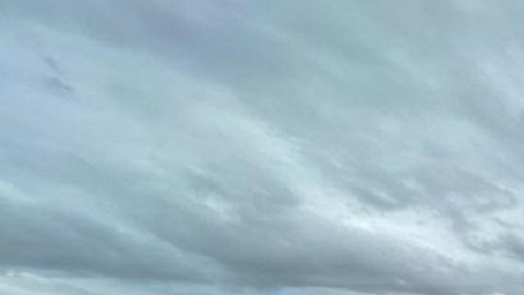 Confirman una muerte en el festival Burning Man luego de que miles de personas quedaran atrapadas por las lluvias en Nevada