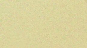 Varios estados emiten alertas por el virus del Nilo Occidental tras encontrar casos locales