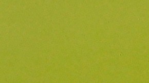 Guillermo Ochoa con los colores del seleccionado mexicano.