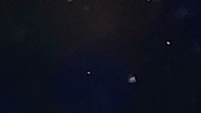 Julián Quiñones, futbolista del América.