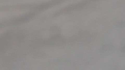 Carlos Sainz a bordo de su monoplaza en el GP de Italia, seguido por Charles Leclerc.