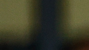 Tanto Betts como Acuña han tenido una temporada fenomenal a la ofensiva, pero este último mes de la temporada promete ser de locura por ganar el premio al Jugador Más Valioso