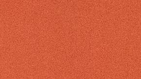 Rodríguez dirigió a Costa Rica en los Juegos Centroamericanos y del Caribe.