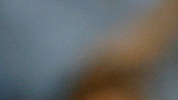 Isaac Paredes con Tampa Bay.