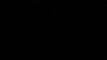 Novak Djokovic defendió a Piqué luego de las críticas que recibió el español.