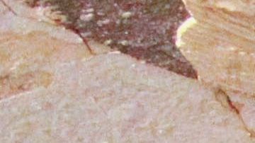 Tragedia en Libia: Cifra de muertos ya rebasa las 11,000 víctimas; aún hay miles de desaparecidos