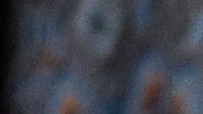 Manifestantes ambientales irrumpieron en la primera semifinal del US Open.