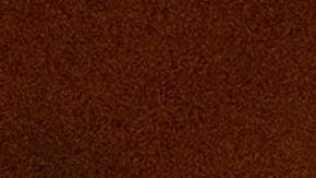 Tragedia en Canadá: Cuatro bomberos mueren en accidente cuando regresaban de un incendio forestal