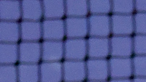 Coco Gauff.