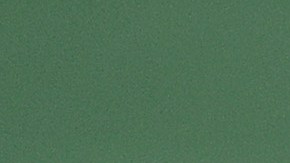 Tras un juego de mucha exigencia física para ambos jugadores entregaron todo y al final Novak Djokovic se llevó el trofeo del US Open