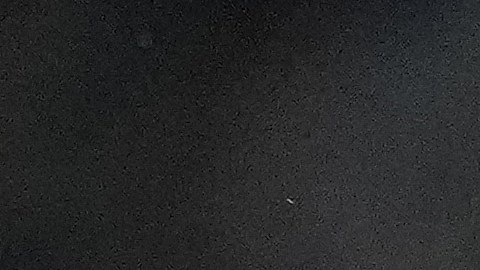 La lesión de Trevon Diggs fue confirmada por una resonancia.