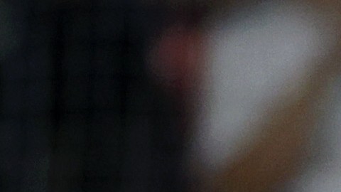 El capitán de los Yankees de Nueva York, Aaron Judge les respondió a unos aficionados de los Medias Rojas de Boston con un increíble vuelacerca por encima del monstruo verde