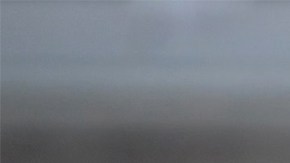 El líder de los Rolling Stones no hizo diferencias al bailar reguetó