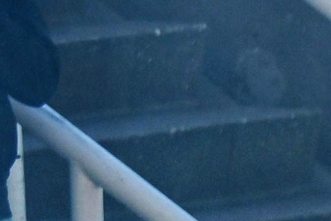 Los aficionados se protegen de los gases lacrimógenos mientras la policía los utiliza para dispersarlos. Foto: OLAF KRAAK/ANP/AFP via Getty Images.