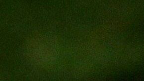 Biden participó en un piquete de trabajadores de la industria automotriz en huelga, en Michigan.