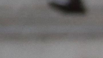 Fermín López fue el encargado de igualar el marcador.