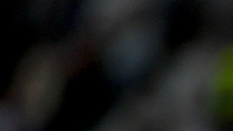 Victor Osimhen falló un penal en el juego contra el Bologna.