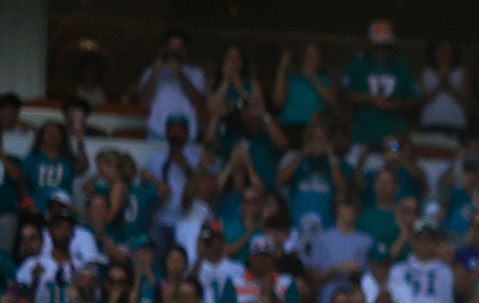Miami Dolphins en el Hard Rock Stadium. Foto: Carmen Mandato/Getty Images.  