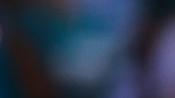 Miami Dolphins celebrando.