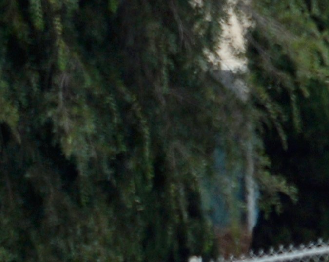 LOS ANGELES, CA - JUNE 25: Los Angeles County Sheriff's SWAT team members standing on a armored car arrive to help Los Angeles Police Department officers during a massive manhunt for a suspect who attempted to kill two detectives on June 25, 2013 in Los Angeles, California. The shooting happened in the early morning hours as the two detectives were ambushed and slightly injured outside the Los Angeles Police Department's Wilshire Station, prompting the closure of a 25-square-block area in the Mid-City section of Los Angeles. (Photo by Kevork Djansezian/Getty Images)