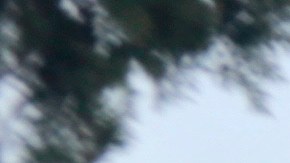 El crimen organizado convierte a muchas comunidades en pueblos fantasmas