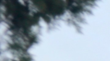 El crimen organizado convierte a muchas comunidades en pueblos fantasmas