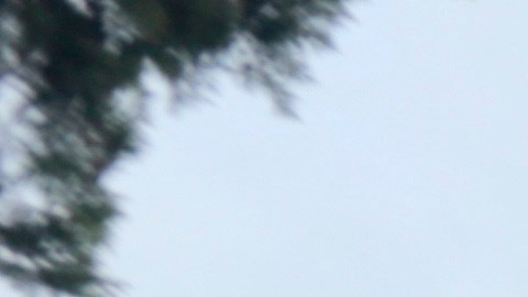 El crimen organizado convierte a muchas comunidades en pueblos fantasmas