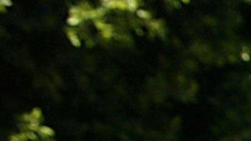 A man waits to board his float from "Tacos Mexico" in East Los Angeles, CA while he awaits the beginning of the parade celebrating the independence of Mexico, 07 September 2003. People with Latin American origins living in California are estimated to number some 10 million, or one in every three residents in the state. Although this number continues to grow, the number of registered voters is only 14 percent of the electorate. Experts are predicting the Latino voter will be pivotal to the success of the recall election in which California Governor Gray Davis will be required to submit to evaluation his second term. More than 100 office-seekers are officially registered as candidates--among them actor Arnold Schwarzenegger, adult film actress Mary Carey, Lt Governor Cruz Bustmante and political commentator Arianna Huffington. AFP PHOTO/HECTOR MATA (Photo credit should read HECTOR MATA/AFP via Getty Images)