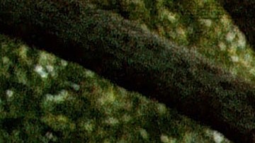 Una clase de niños latinos recita el juramento a la bandera en su escuela en Texas.