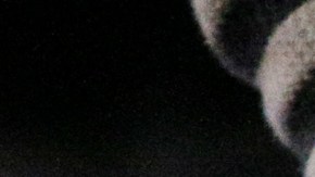 México extraditó a Estados Unidos a sospechoso acusado de operar una red de trata