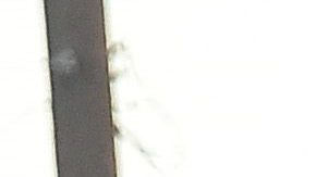 Swat police arrive at a neighborhood in San Bernardino near the intersection of Richardson and Gould where a house was searched on December 2, 2015. A man and a woman suspected of carrying out a deadly shooting at a center for the disabled in California were killed in a shootout with police, while a third person was detained, police said. AFP PHOTO / FREDERIC J. BROWN / AFP / FREDERIC J. BROWN (Photo credit should read FREDERIC J. BROWN/AFP via Getty Images)