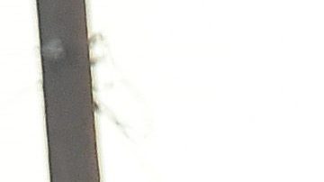 Swat police arrive at a neighborhood in San Bernardino near the intersection of Richardson and Gould where a house was searched on December 2, 2015. A man and a woman suspected of carrying out a deadly shooting at a center for the disabled in California were killed in a shootout with police, while a third person was detained, police said. AFP PHOTO / FREDERIC J. BROWN / AFP / FREDERIC J. BROWN (Photo credit should read FREDERIC J. BROWN/AFP via Getty Images)