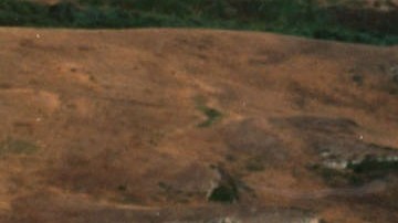 Piloto instructor y estudiante fallecieron en un accidente aéreo en Kentucky