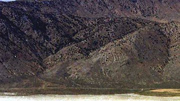 Videos muestran cómo miles de personas quedaron atrapadas en el desierto de Nevada tras lluvias en festival Burning Man