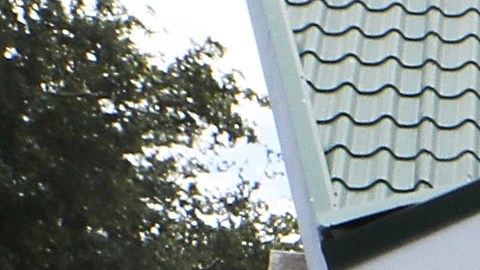 Osos asaltaron una camioneta de donas Krispy Kreme en una base militar de Alaska