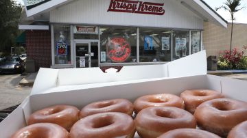Osos asaltaron una camioneta de donas Krispy Kreme en una base militar de Alaska
