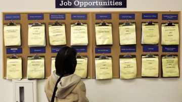 OAKLAND, CA - FEBRUARY 02: A job seeker looks at a job listing board at the East Bay Career Center February 2, 2006 in Oakland, California. According to a government report, U.S. unemployment benefits claims dropped to about 273,000 last week, sending a four-week average of claims to the lowest level in nearly six years. (Photo by Justin Sullivan/Getty Images)