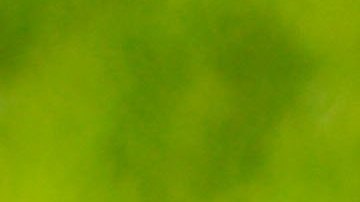 El equipo está cerca de descender a tercera división.