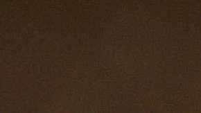 Niña de 7 años encontró un diamante de 2,95 quilates en un parque estatal de Arkansas