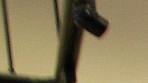 Glendale, UNITED STATES: A couple chooses a gun at the Gun Gallery in Glendale, California, 18 April 2007. The massacre at Virginia Tech has ignited fresh talk in the Democratic-led US Congress about tightening US gun laws but it is doubtful enough lawmakers will tackle the politically charged issue. With so many citizens in love with their guns and defensive of their right under the Constitution to keep and bear arms, politicians are reluctant to take on gun owners or the powerful gun lobby. AFP PHOTO/GABRIEL BOUYS (Photo credit should read GABRIEL BOUYS/AFP via Getty Images)