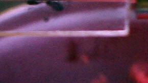 USDA alerta por contaminación de carne por posible E. coli en tres estados; Georgia, Michigan y Ohio