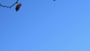 LOS ANGELES, CA - JULY 21: Food trucks are seen during day 1 of FYF Fest 2017 on July 21, 2017 at Exposition Park in Los Angeles, California. (Photo by Emma McIntyre/Getty Images for FYF)