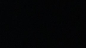 Un hombre de Florida se enfrenta a más de 180 cargos por maltrato animal