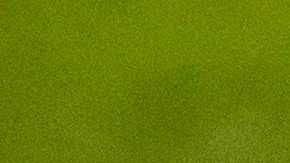 Malacateco está en el liderato de la Liga de Guatemala.