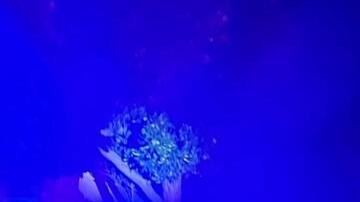 La policía de Glendale detuvo el vehículo con los sospechosos.