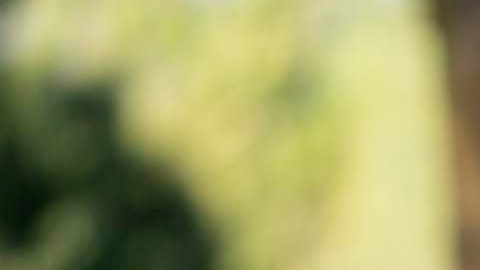 Raquel Terán compite por el Tercer Distrito de Arizona para el Congreso.