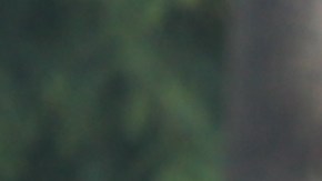 Cientos de trabajadores se manifiestan en las calles de Holllywood.