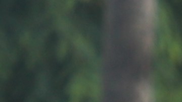 Cientos de trabajadores se manifiestan en las calles de Holllywood.