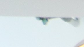 Gerry Segura, Julie Ha Truong, Esperanza Guevara, Paulina Lanz  con Arturo Carmona, director de Latino Media Collaborative.