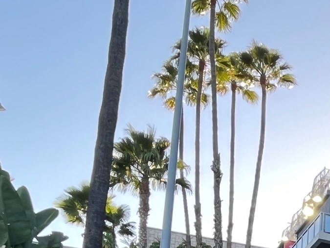 Fans disfrutan por delante de un mural donde antes destacaba la imagen de Julio Urías. /Foto: Ricardo López J.